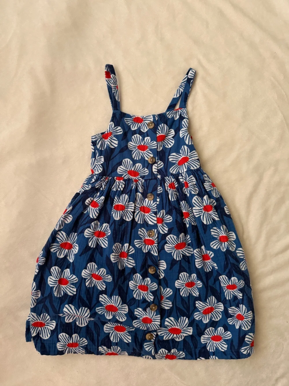 Hanna Andersson Blue Floral Dress with Red Accents